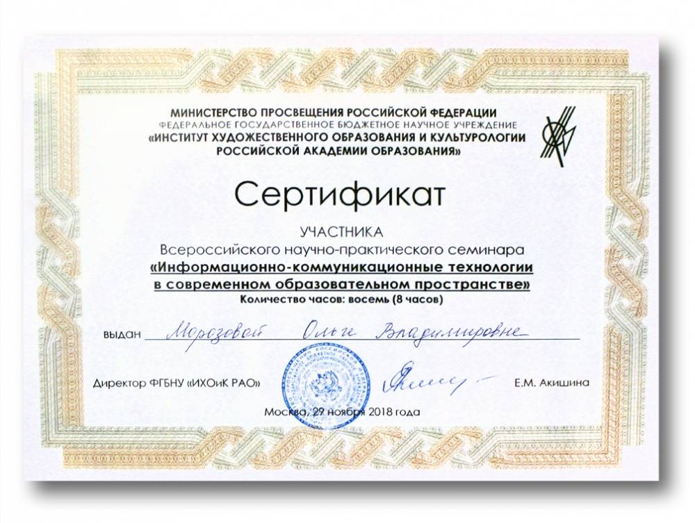 Сертификат участника Всероссийского научно-практического семинара ИХОиК РАО